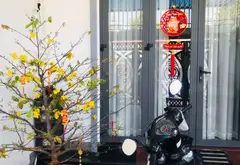 Nhà đẹp 3 tầng hẻm ô tô Hiệp Thành 1, an ninh, giá tốt... Bán nhà riêng tại Phú Lợi, Hồ Chí Minh 03