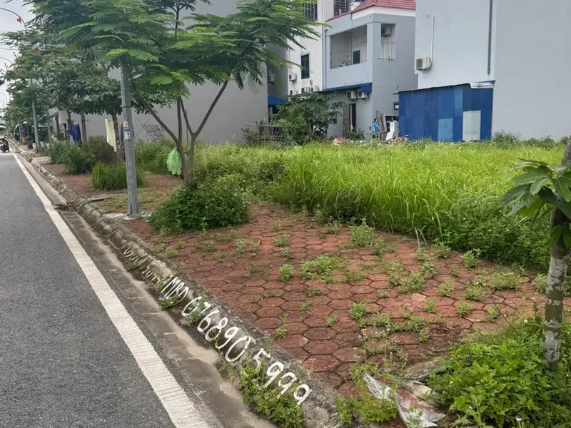 Đất kinh doanh và an cư đắc địa tại TĐC Hoa Động với tiềm năng tăng giá vượt trội... Bán đất tại Thủy Nguyên, Hải Phòng 01
