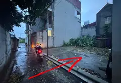 Đất - 52m² - Thuận An, Hà Nội - 4.8 tỷ... Bán đất tại Thuận An, Hà Nội 01