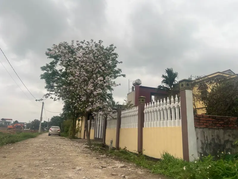 Thông số vàng đường thông ô tô đối diện khu đấu giá xuân lễ... Bán đất tại Kim Anh, Hà Nội 01