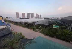 Bán nhà 2 tầng thôn 4 Xuân Quan, Văn Giang vị trí kinh doanh mặt đường kinh doanh cây cảnh... Bán nhà riêng tại Phụng Công, Hưng Yên 01