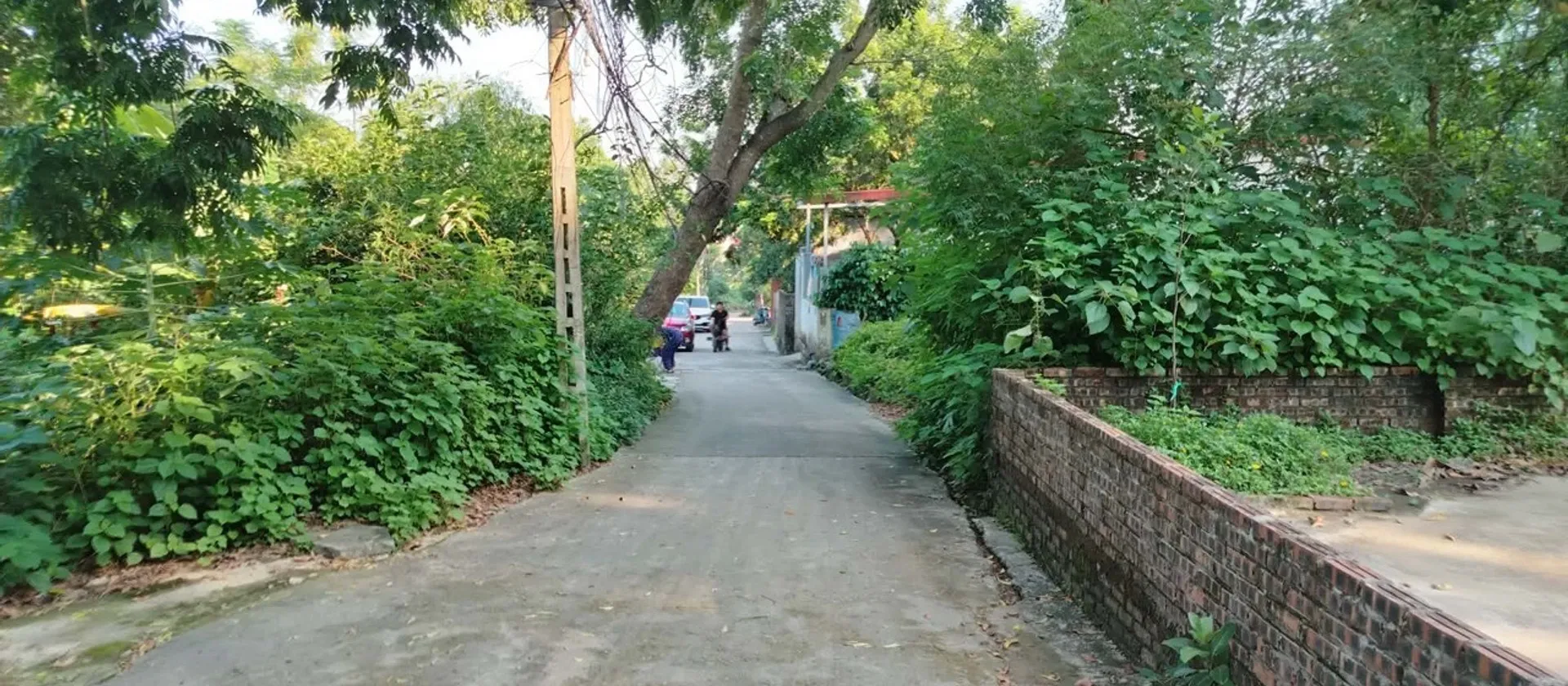 Đất Núi Đông Đại Đồng - Cơ hội vàng cho nhà đầu tư... Bán đất tại Đại Đồng, Bắc Ninh 01