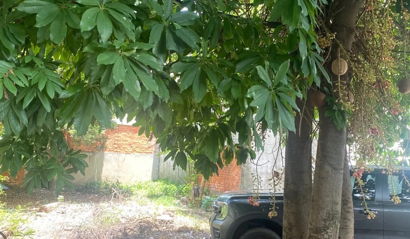 🔥 16 TỶ – QUỸ ĐẤT HƠN 1.000M² – SÁT DƯƠNG CÔNG KHI, HÓC MÔN 🔥... Bán đất tại Hóc Môn, Hồ Chí Minh 01