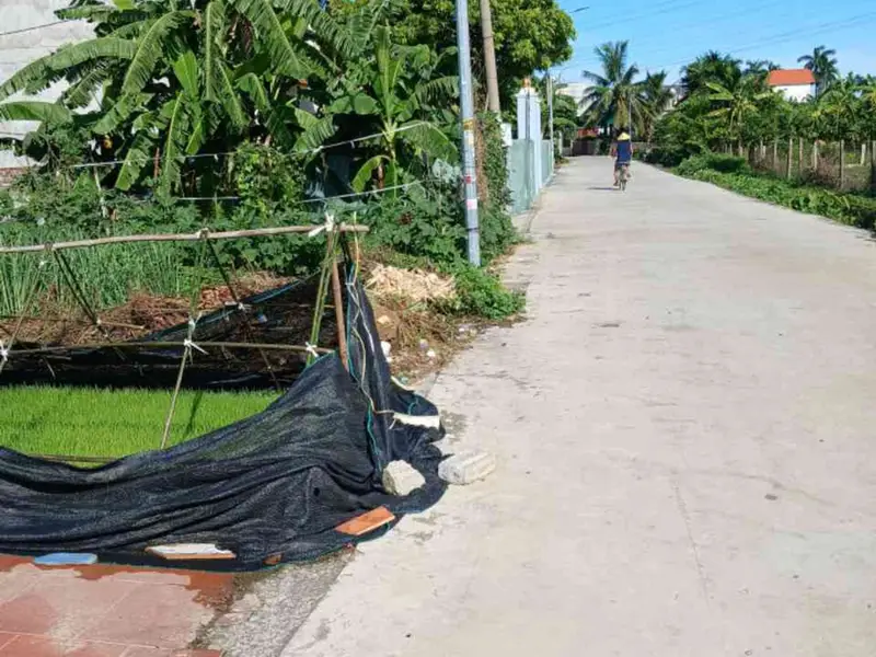 Săn ngay đất đẹp Nam hướng, An Lão, Hải Phòng... Bán đất tại An Lão, Hải Phòng 01