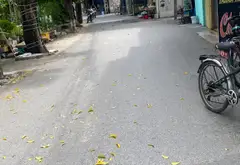 Đất Rích Gạo Phù Chẩn – Cơ Hội Vàng Cho Nhà Đầu Tư... Bán đất tại Từ Sơn, Bắc Ninh 05