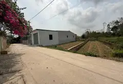 Đất Hiền Ninh gần sân bay, ô tô vào tận nơi, đầu tư sinh lời... Bán đất tại Nội Bài, Hà Nội 04
