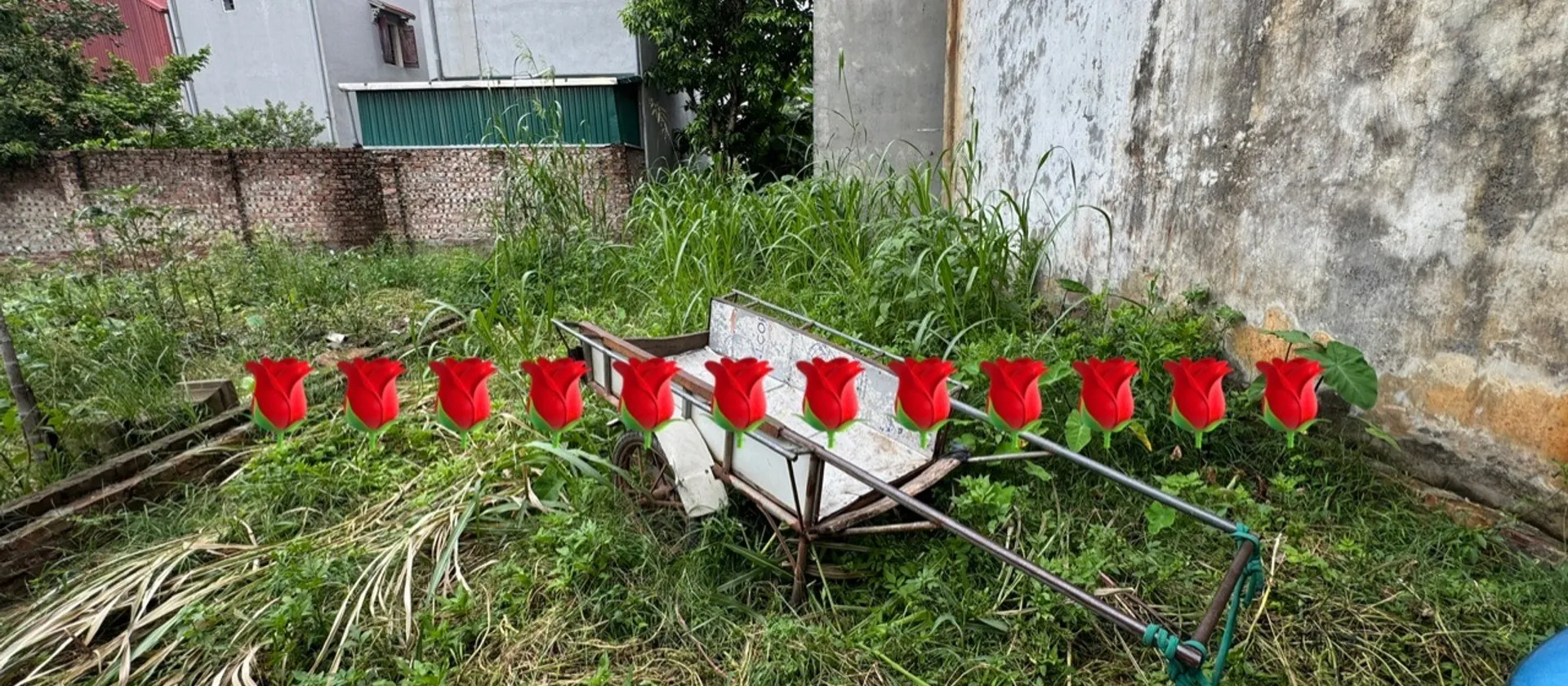 Cơ hội sở hữu đất thổ cư Quang Minh, vị trí đẹp, giá tốt... Bán đất tại Quang Minh, Hà Nội 01