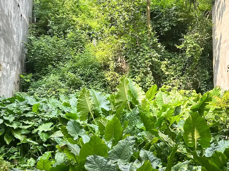 Bán đất rộng 243m2 tại xã Hoàn Sơn mặt tiền 6m giá tốt... Bán đất tại Đại Đồng, Bắc Ninh 01