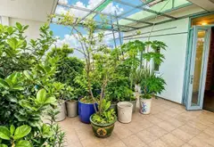 🔥 BIỆT THỰ SÂN VƯỜN KHU VIP NGUYỄN VĂN KHỐI – QUỸ ĐẤT GẦN 300M² – 5 TẦNG – 30 TỶ TL 🔥... Bán nhà riêng tại Thông Tây Hội, Hồ Chí Minh 16