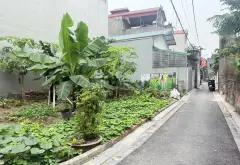 Cơ hội hiếm có sở hữu nhà 1.5 tầng tại Thụy Hà, Bắc Hồng... Bán đất tại Phúc Thịnh, Hà Nội 04