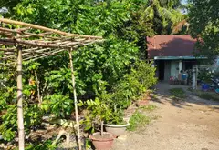 Nhà Mặt Phố View Sông Rộng 938m2 Tại Bình Chánh... Bán nhà mặt phố tại Bình Lợi, Hồ Chí Minh 01