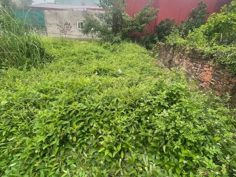 Bán đất thổ cư 51m² ngõ ô tô xã Quang Minh Mê Linh... Bán đất tại Quang Minh, Hà Nội 01