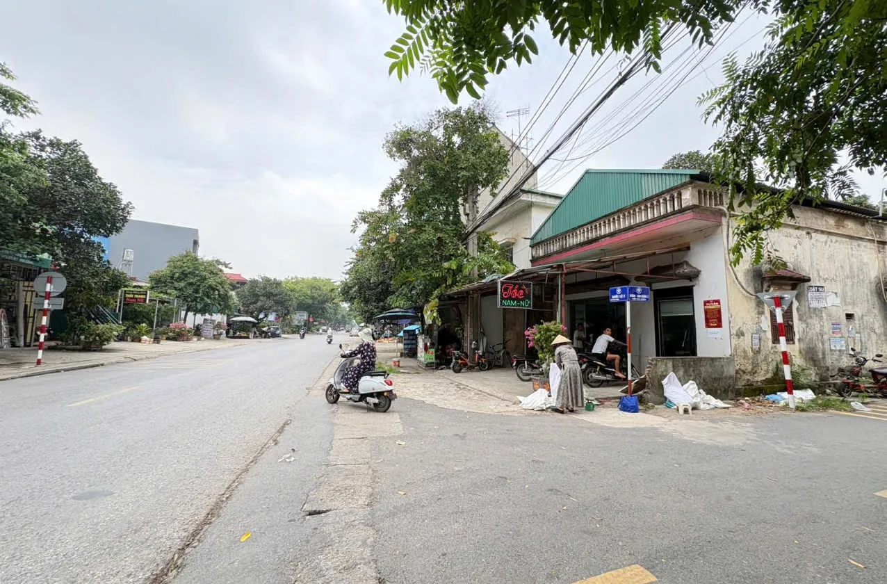 🌺NHỎ TIỀN KHU VỰC - GẦN OTO, CHỢ DÂN SINH - VIN CỔ LOA - CÁCH TRỤC CHÍNH KINH DOANH 70M... Bán đất tại Đông Anh, Hà Nội 01