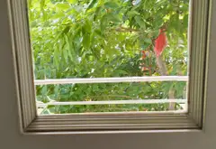 Siêu phẩm nhà mặt phố kinh doanh sầm uất quận Tân Bình... Bán nhà mặt phố tại Bảy Hiền, Hồ Chí Minh 15