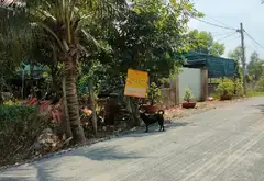 Bán đất thổ cư 5583m2 mặt tiền 35m tại Bình Lợi, Bình Chánh... Bán owner_side tại Bình Lợi, Hồ Chí Minh 07
