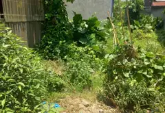 Nhà riêng 1 tầng vị trí đắc địa tại Tổ dân phố 6, An Dương... Bán nhà riêng tại An Dương, Hải Phòng 08