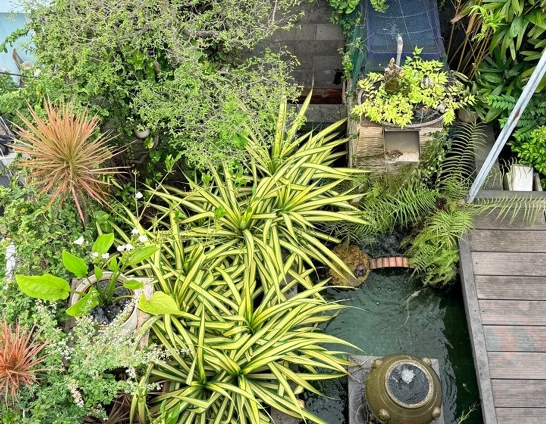 BIỆT THỰ ĐẲNG CẤP VỊ TRÍ ĐỈNH VÀNG-CHÍNH CHỦ 1 ĐỜI THIẾT KẾ CÓ TÂM HUYẾT-CÓ SÂN VƯỜN- HỒ CÁ KOI-128... Bán biệt thự, liền kề tại An Hội Tây, Hồ Chí Minh 01