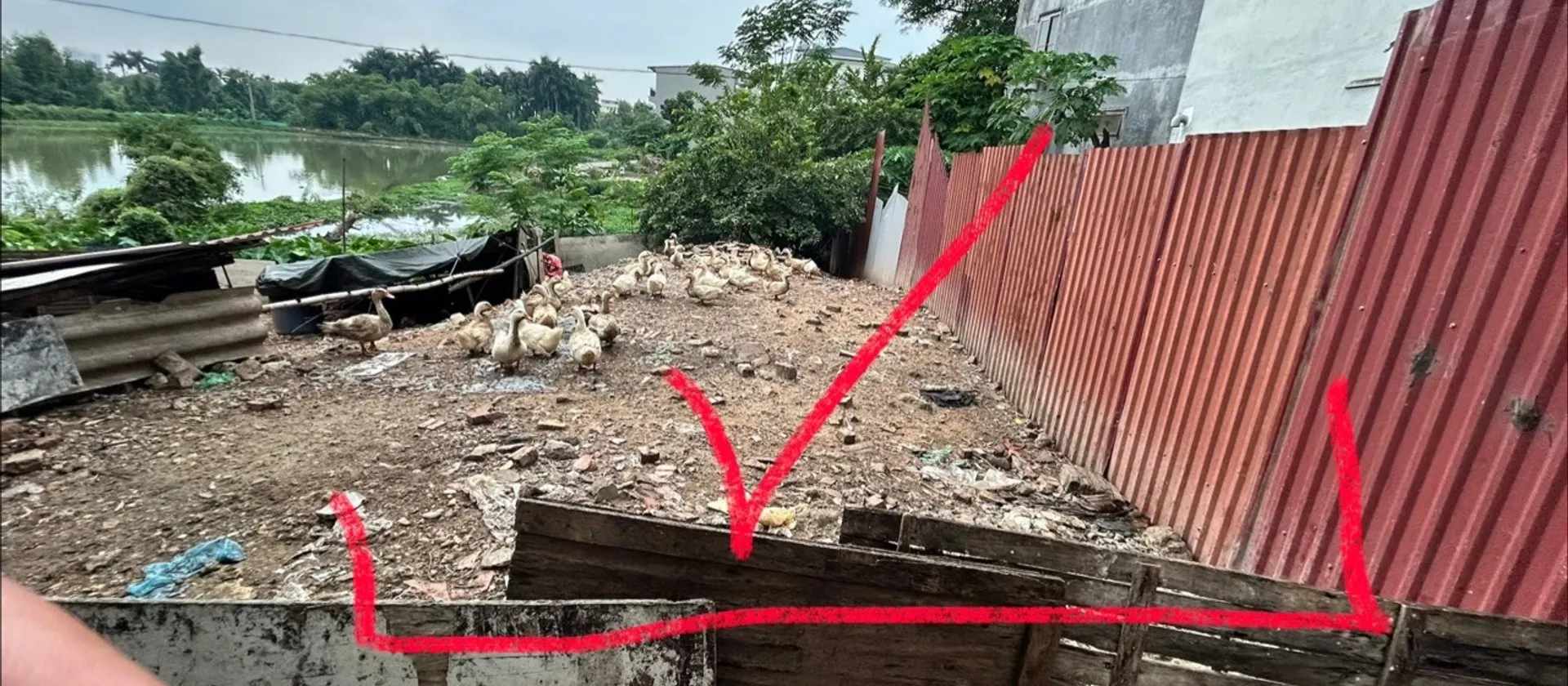 71,9m² Võ Cường, giá 3,65 tỷ đồng
Alo Mr Chinh 0977.497.215... Bán đất tại Võ Cường, Bắc Ninh 01