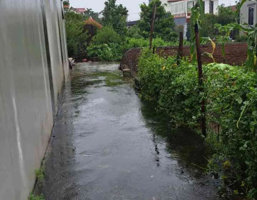 Bán đất lô góc 120m2 tại Liên Nghĩa, Văn Giang, Hưng Yên... Bán đất tại Văn Giang, Hưng Yên 01