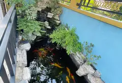 Bán biệt thự 660m2 mặt tiền 17m tại Thạnh Xuân... Bán nhà riêng tại Thới An, Hồ Chí Minh 03