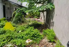 Bán đất mặt tiền 5m tại Đông Thạnh, diện tích 122,7m², pháp lý cơ sở... Bán đất tại Đông Thạnh, Hồ Chí Minh 01