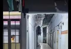 Dãy Trọ Mới xây 6 phòng + 1 Kiot Kinh Doanh - Doanh Thu 130 triệu/ năm 🔥... Bán nhà riêng tại Thuận An, Hồ Chí Minh 05