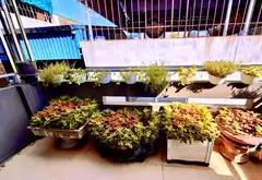 CHÍNH CHỦ BÁN NHÀ TỰ XÂY - HAI THOÁNG. GẦN PHỐ, THÔNG HỒ... Bán nhà riêng tại Tây Hồ, Hà Nội 07