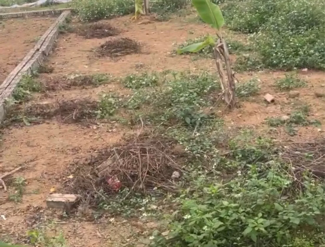 BDS căn nhà MẶT HỒ... Bán đất tại Thạch Thất, Hà Nội 01