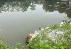 Đất nở hậu mặt tiền rộng tại Ngọc Tỉnh, Bắc Ninh giá ưu đãi... Bán đất tại Song Liễu, Bắc Ninh 10