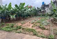 Đất Văn Giang - Đầu tư xịn, ôtô vào tận nơi
thôn quán trạch... Bán đất tại Văn Giang, Hưng Yên 03