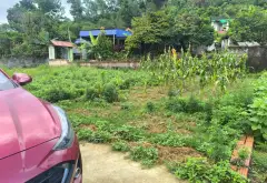 Lô đất hướng Tây Nam tại Thủy Nguyên, tiềm năng phát triển sinh lời cao... Bán đất tại Việt Khê, Hải Phòng 05