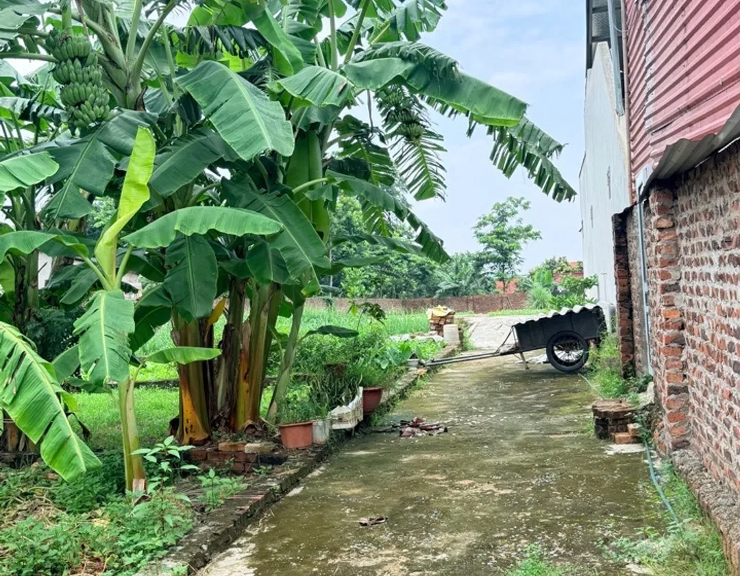 Mảnh Đất Vàng Trung Tâm Phù Linh - Ngõ Thông Ô Tô - Gần Đền Sóc - chỉ hơn 1 tỷ... Bán đất tại Sóc Sơn, Hà Nội 01