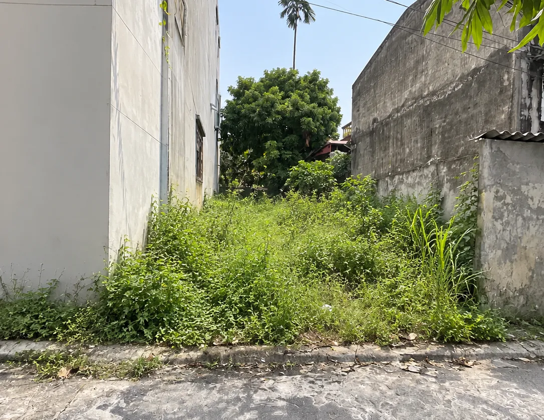 BÁN ĐẤT VŨ NINH – BẮC NINH | HÀNG HIẾM GIÁ 4,2 TỶ... Bán đất tại Vũ Ninh, Bắc Ninh 01