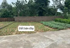 Đất Phù Lin, Sóc Sơn- Đường rộng- thông thoáng - 100m2 vuông vắn... Bán owner_side tại Sóc Sơn, Hà Nội 04