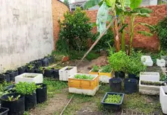 Cơ hội sở hữu nhà 200m Mặt nhựa , giá chỉ 5.35 tỷ tại Lê Thị Kim , Hóc Môn... Bán nhà mặt phố tại Xuân Thới Sơn, Hồ Chí Minh 03