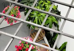 Bán nhà hẻm xe hơi 4m❌23m khu phân lô cao tầng đồng bộ... Bán nhà riêng tại Bình Trị Đông, Hồ Chí Minh 08