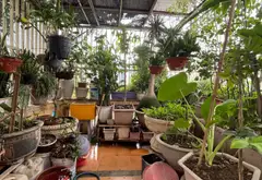 Nhà mặt phố siêu đỉnh, 7 tầng thang máy, view công viên cực chất... Bán nhà mặt phố tại Bạch Mai, Hà Nội 12