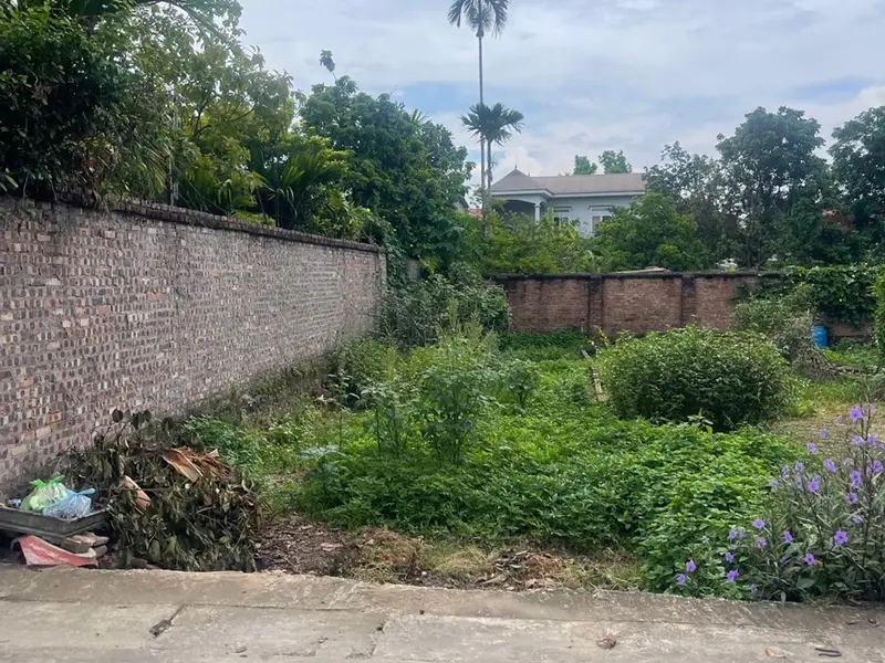 Cơ hội sở hữu đất siêu hiếm tại Đan Tảo đường 2 ô tô tránh, đầu tư sinh lời tuyệt vời... Bán đất tại Sóc Sơn, Hà Nội 01