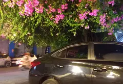 BÁN GẤP NHÀ ĐẸP NGUYỄN THỊ THẬP (Him Lam Quận 7) 42 tỷ... Bán biệt thự, liền kề tại Tân Hưng, Hồ Chí Minh 02