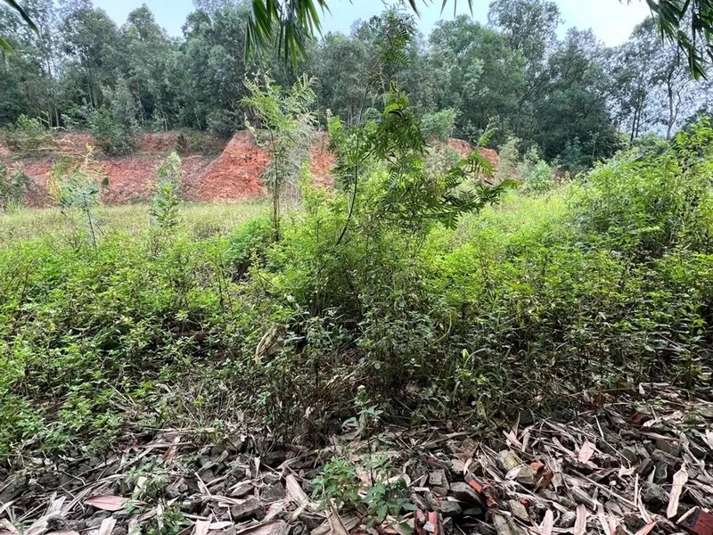 Cơ hội sở hữu đất phân lô mặt tiền rộng – xe ô tô đỗ cửa tại Phù Lãng Bắc Ninh... Bán đất tại Phù Lãng, Bắc Ninh 01