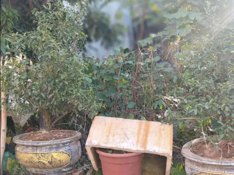 Bán đất 64m² hướng Đông Bắc tại phường Yên Nghĩa, Hà Nội giá 3,7 tỷ đồng... Bán đất tại Yên Nghĩa, Hà Nội 01