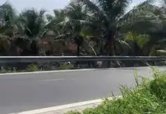 Bán đất 200m2 mặt tiền 5m tại Lê Minh Xuân, Bình Chánh giá tốt... Bán đất tại Bình Lợi, Hồ Chí Minh 05