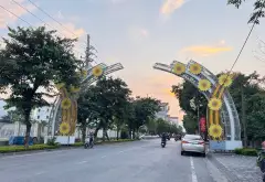 Đất trung tâm Thư Lâm - chờ đón tương lai phát triển... Bán đất tại Thư Lâm, Hà Nội 02
