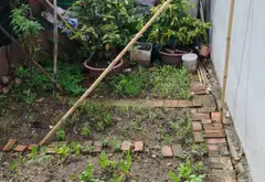 ĐẤT THỔ CƯ - Khu Phân Lô đường THẠNH XUÂN 24 phường THẠNH XUÂN Q12, Dt 44m² Hẻm 4m, 3,25Tỷ... Bán đất tại Thới An, Hồ Chí Minh 01