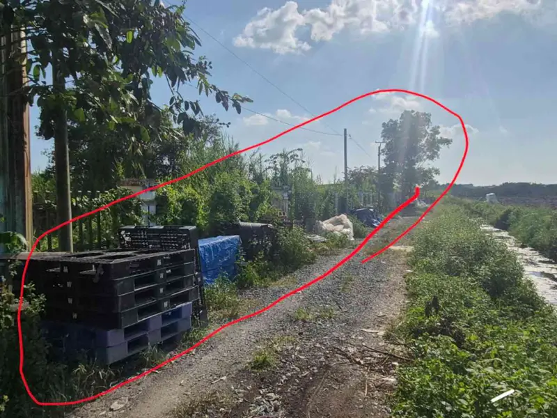 Đất rộng mặt tiền đường xe tải An Hạ - cơ hội đầu tư hấp dẫn... Bán nhà riêng tại Tân Vĩnh Lộc, Hồ Chí Minh 01