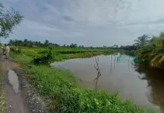 Bán đất 1000m2 hướng tây nam tại Long An giá 3 tỷ... Bán đất tại Bình Lợi, Hồ Chí Minh 03