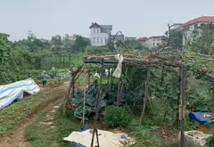 Bán đất mặt tiền 7.8m tại Sóc Sơn, vị trí tiềm năng gần dự án trường đua ngựa... Bán đất tại Sóc Sơn, Hà Nội 06