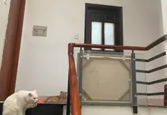 Bán nhà riêng 4 tầng tại xã Dương Cát Lợi, Nhà Bè, mặt tiền rộng, pháp lý đầy đủ... Bán nhà riêng tại Nhà Bè, Hồ Chí Minh 10
