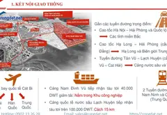 Kho nhà xưởng hơn 1.3ha, hạ tầng hoàn thiện tại khu công nghiệp Nam Đình Vũ... Bán kho, nhà xưởng tại Hải An, Hải Phòng 03