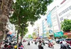 Nhà phố 7 tầng thang máy trên phố thương mại đắt giá Quận Cầu Giấy... Bán nhà mặt phố tại Cầu Giấy, Hà Nội 11